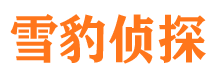 康县私家调查公司